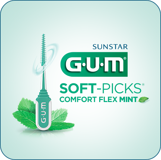 2. GUM Soft-Picks MINT
