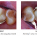 Clinical Research Dental Gallery Image